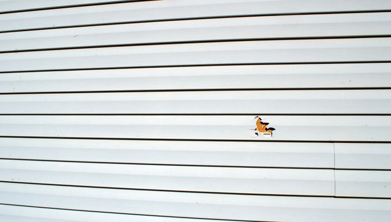 Siding Repair Completion